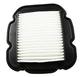 .FILTER, AIR CLEANER