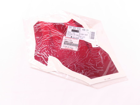 PATTERN,LWR COWLING,F/ZX