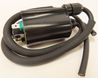 COIL IGNITION HONDA / EMGO 24-72421